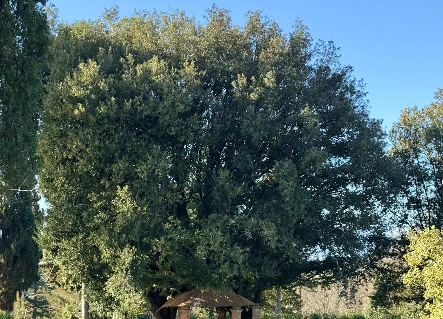 Villa Orsini Peccioli - Villa Storica Ad Uso Esclusivo Con Piscina